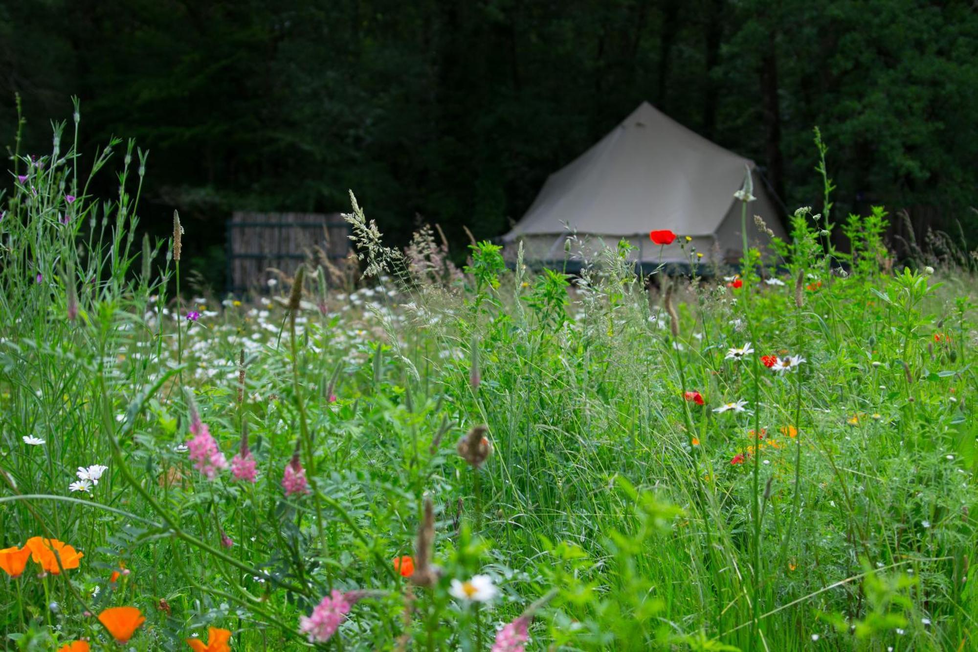 Belair Le Camping Champagnac-de-Bélair Zewnętrze zdjęcie