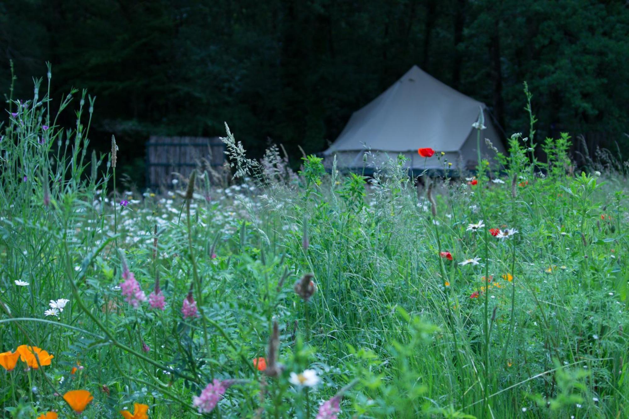 Belair Le Camping Champagnac-de-Bélair Zewnętrze zdjęcie